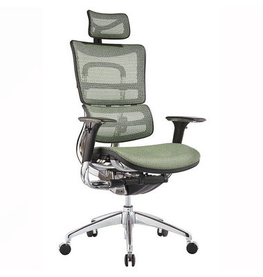 Professional Factory Sale Classical Design famous office ergonomic chair design